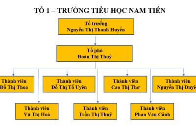 Tổ chuyên môn 1