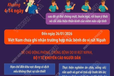 KHUYẾN CÁO CỦA BỘ Y TẾ VỀ PHÒNG, CHỐNG BỆNH DO VIRUS NIPAH