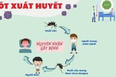 PHÁT ĐỘNG PHÒNG CHỐNG BỆNH SỐT XUẤT HUYẾT