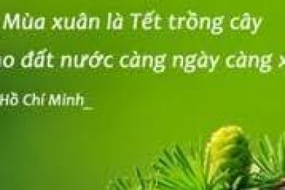 TẾT TRỒNG CÂY XUÂN BÍNH NGỌ 2026